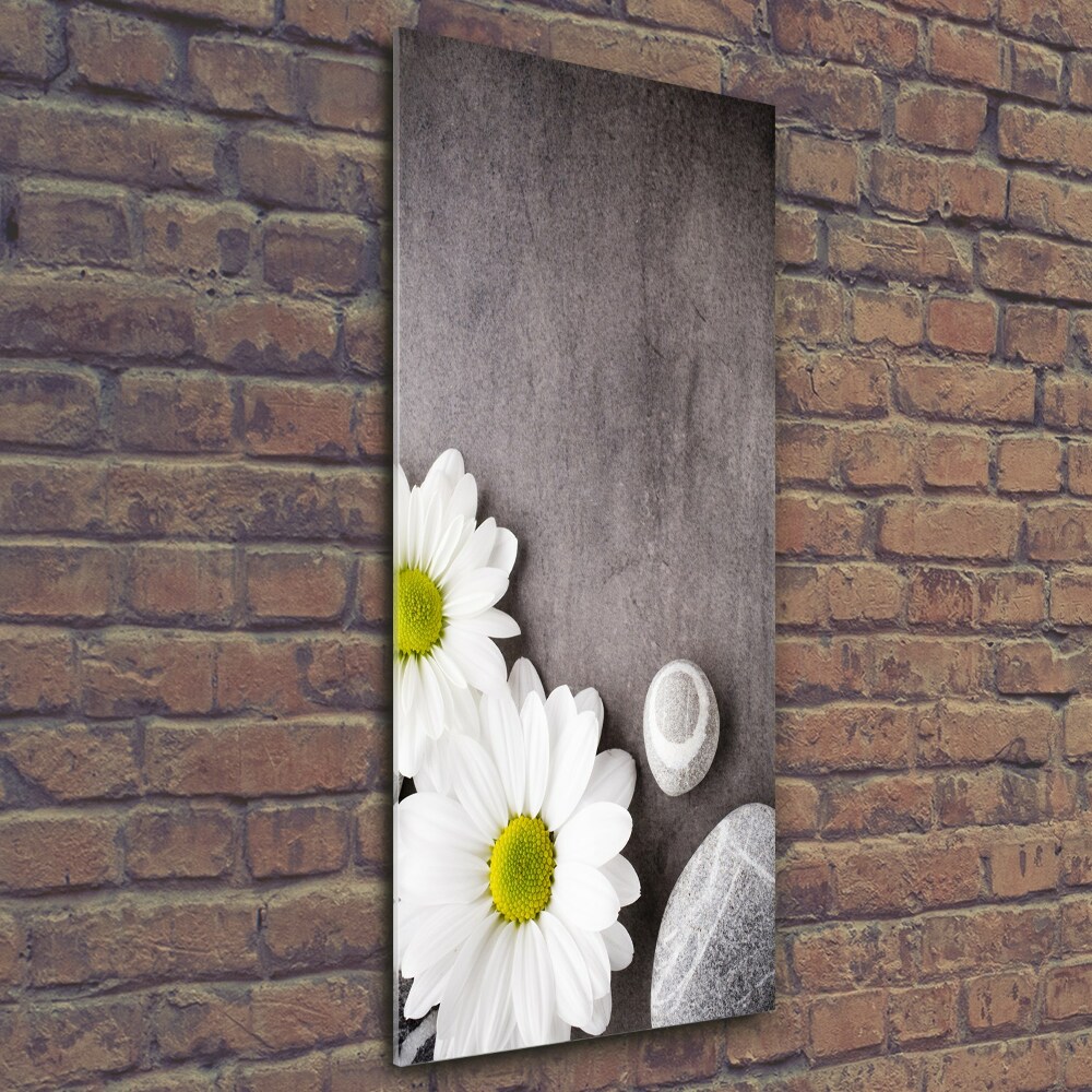 Foto-obraz zdjęcie na szkle pionowy Gerbera