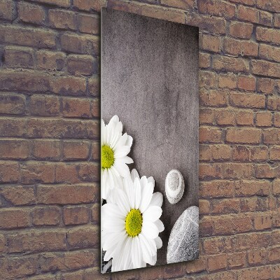 Foto-obraz zdjęcie na szkle pionowy Gerbera