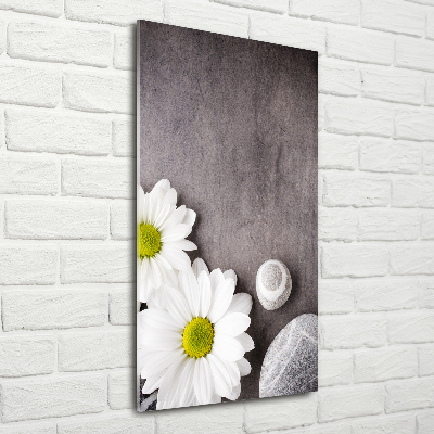 Foto-obraz zdjęcie na szkle pionowy Gerbera