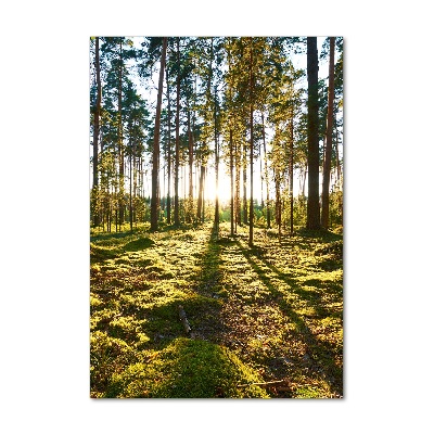 Foto obraz szkło hartowane pionowy Las sosnowy