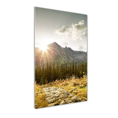 Foto obraz na szkle pionowy Zachód słońca Tatry