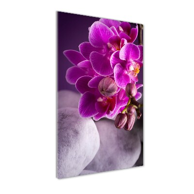 Foto obraz na szkle pionowy Różowa orchidea