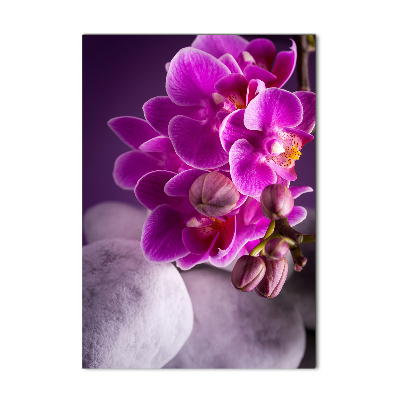 Foto obraz na szkle pionowy Różowa orchidea