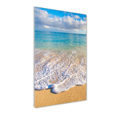 Foto obraz szklany pionowy Tropikalna plaża