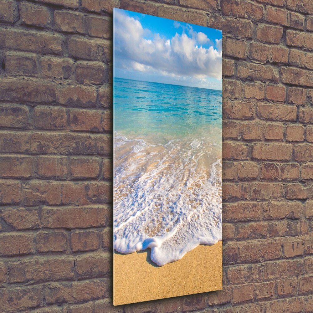 Foto obraz szklany pionowy Tropikalna plaża