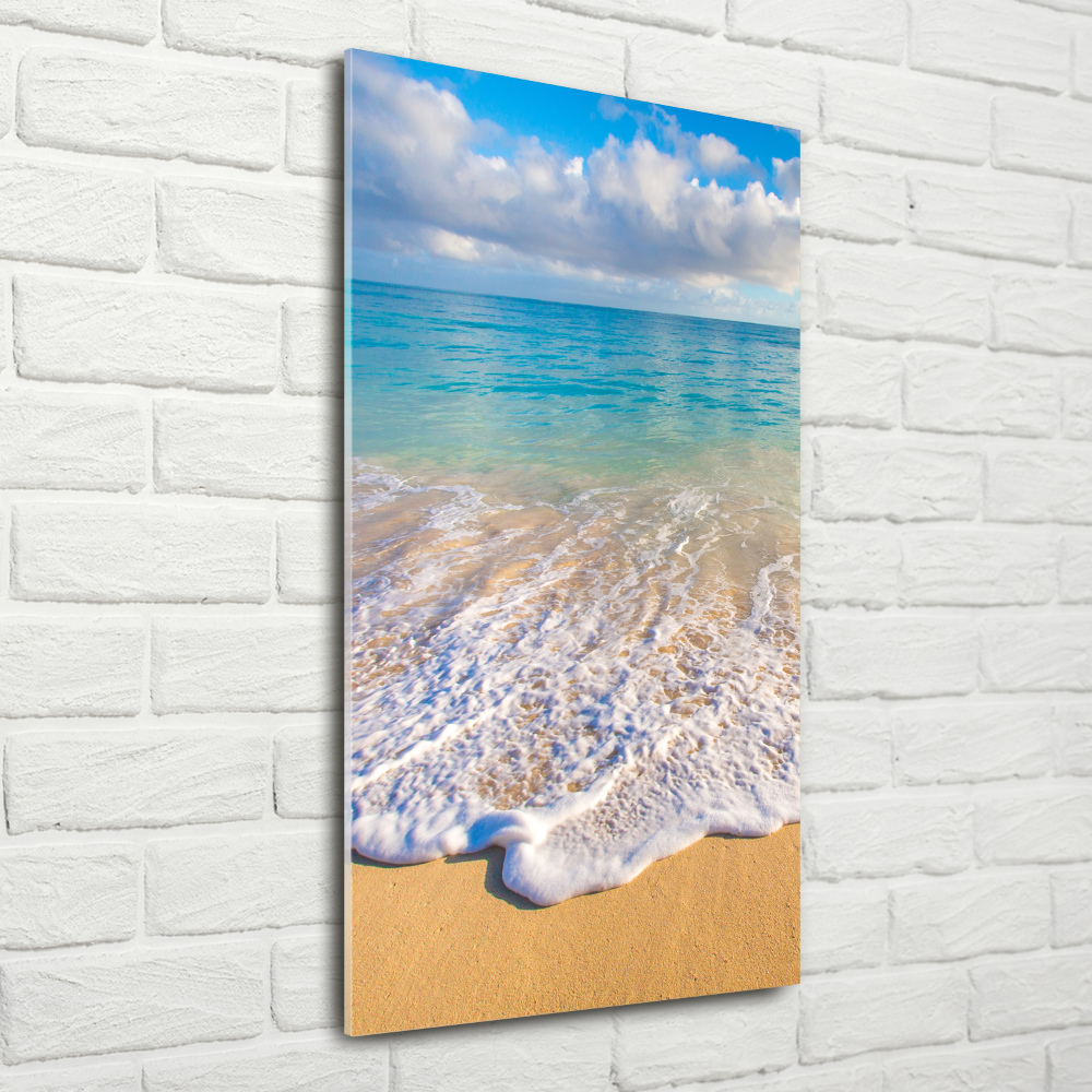 Foto obraz szklany pionowy Tropikalna plaża