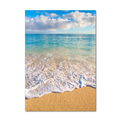 Foto obraz szklany pionowy Tropikalna plaża