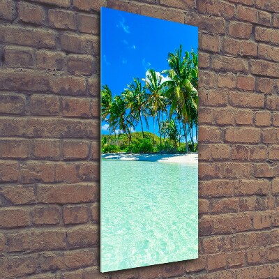 Foto obraz szklany pionowy Tropikalna plaża