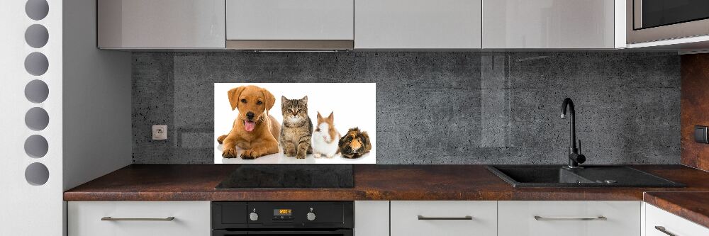 Panel dekor szkło Pies i kot