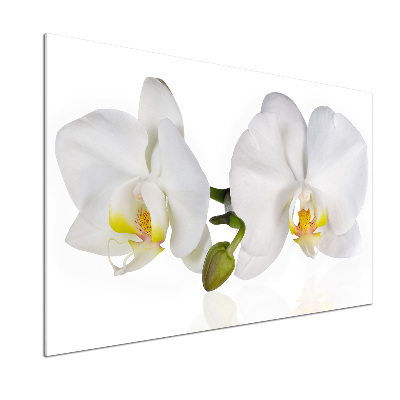 Panel między meble w kuchni Orchidea