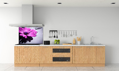 Panel szklany do kuchni Gerbera
