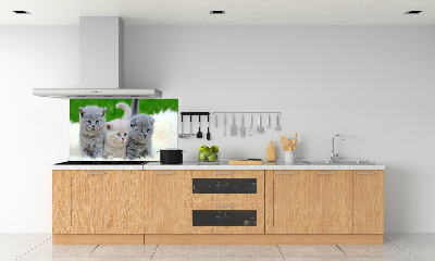 Panel do kuchni Trzy koty na kocu