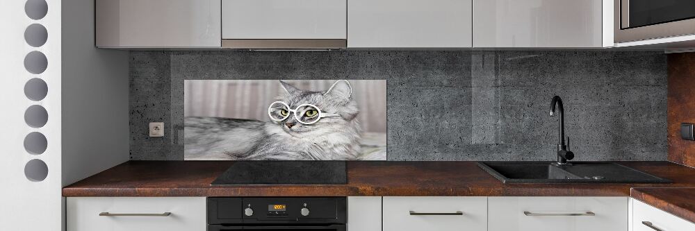 Panel do kuchni Kot w okularach