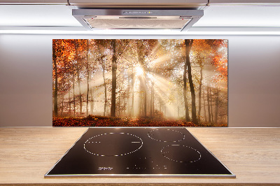 Panel lacobel Mgła w lesie jesień