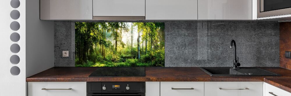 Panel do kuchni Poranne słońce las