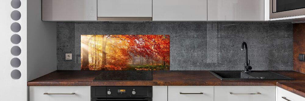 Panel dekor szkło Jesienny las