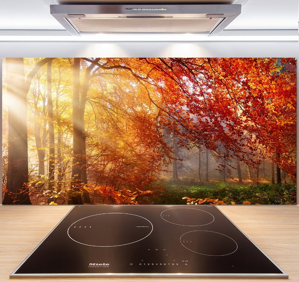 Panel dekor szkło Jesienny las