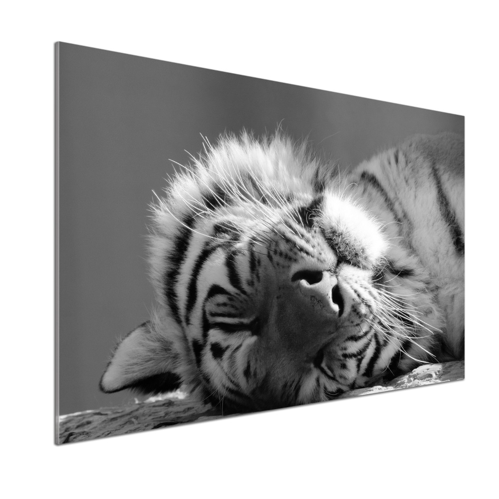 Panel do kuchni Śpiący tygrys