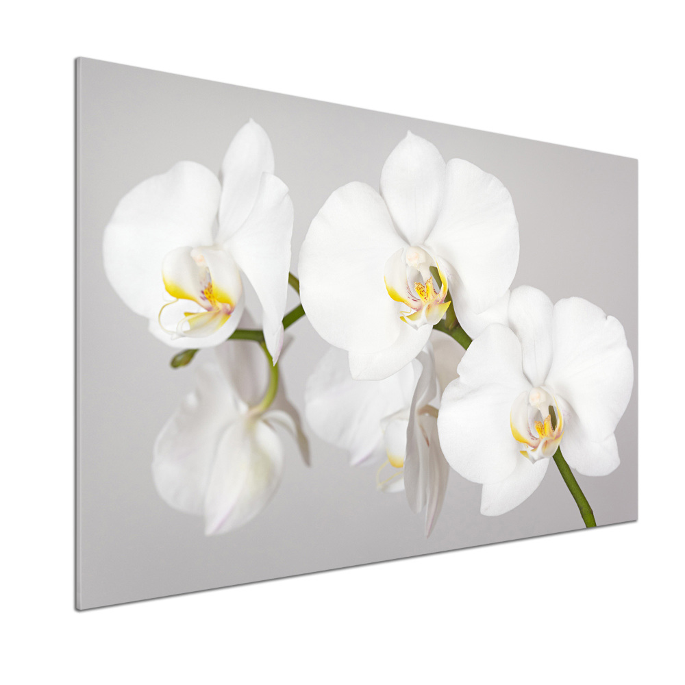 Panel między meble w kuchni Orchidea