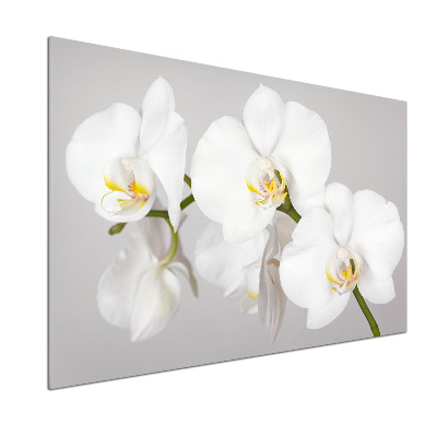 Panel między meble w kuchni Orchidea