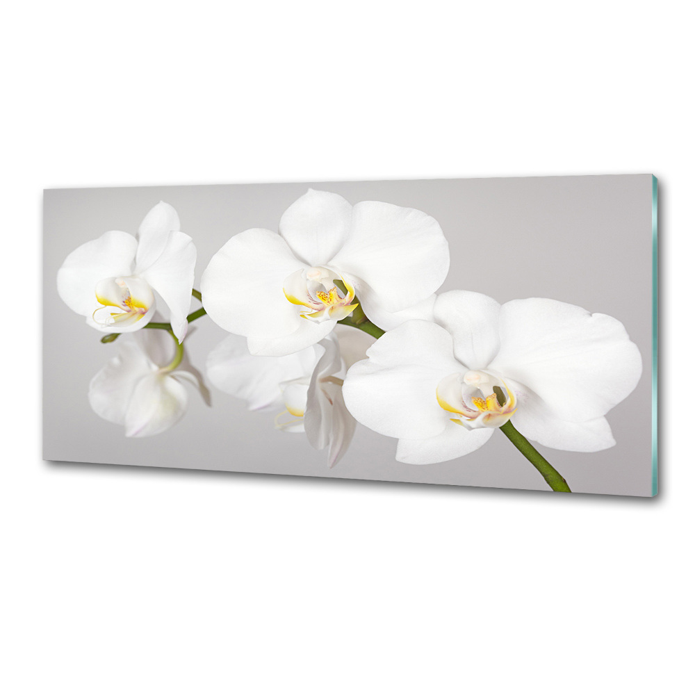 Panel między meble w kuchni Orchidea