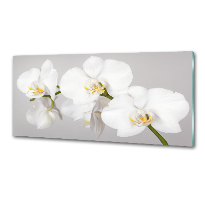 Panel między meble w kuchni Orchidea
