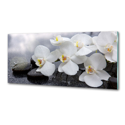 Panel między meble w kuchni Orchidea