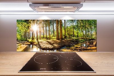Panel dekor szkło Panorama las