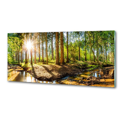 Panel dekor szkło Panorama las