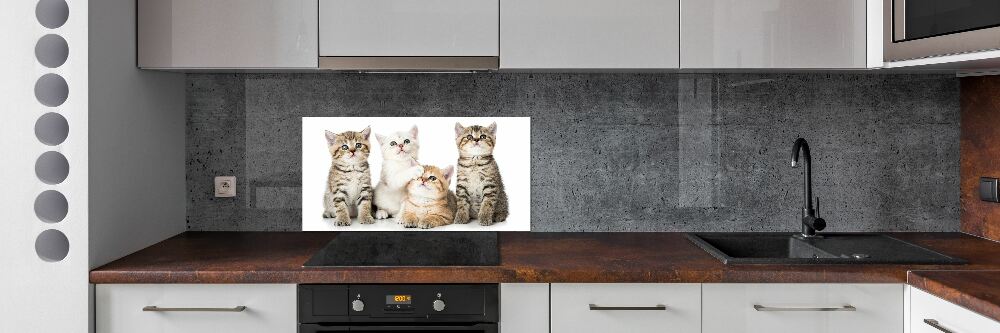 Panel między meble w kuchni Małe koty