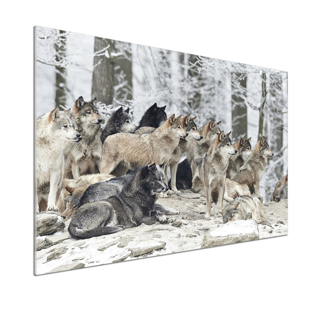 Panel dekor szkło Wilki zimą
