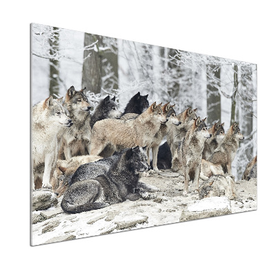 Panel dekor szkło Wilki zimą