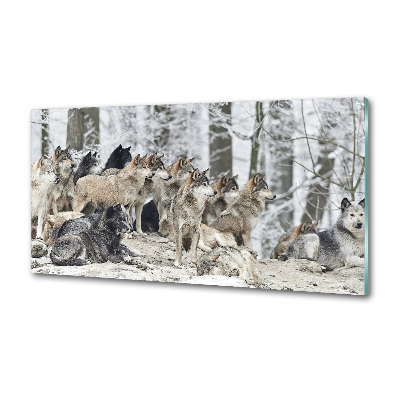 Panel dekor szkło Wilki zimą