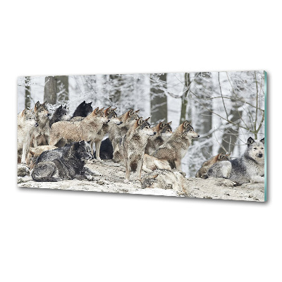 Panel dekor szkło Wilki zimą