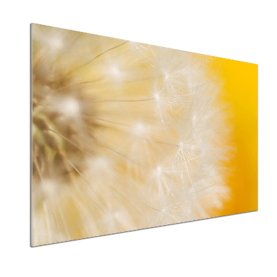 Panel dekor szkło Dmuchawiec