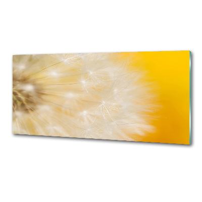Panel dekor szkło Dmuchawiec