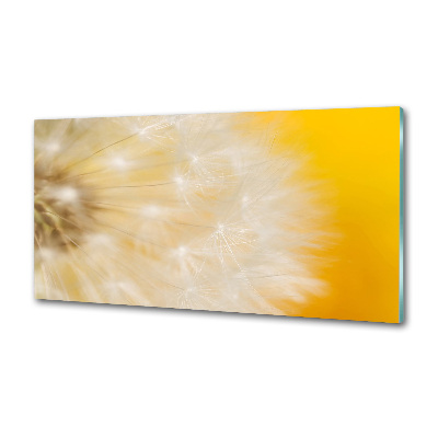 Panel dekor szkło Dmuchawiec