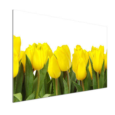 Panel do kuchni Żółte tulipany