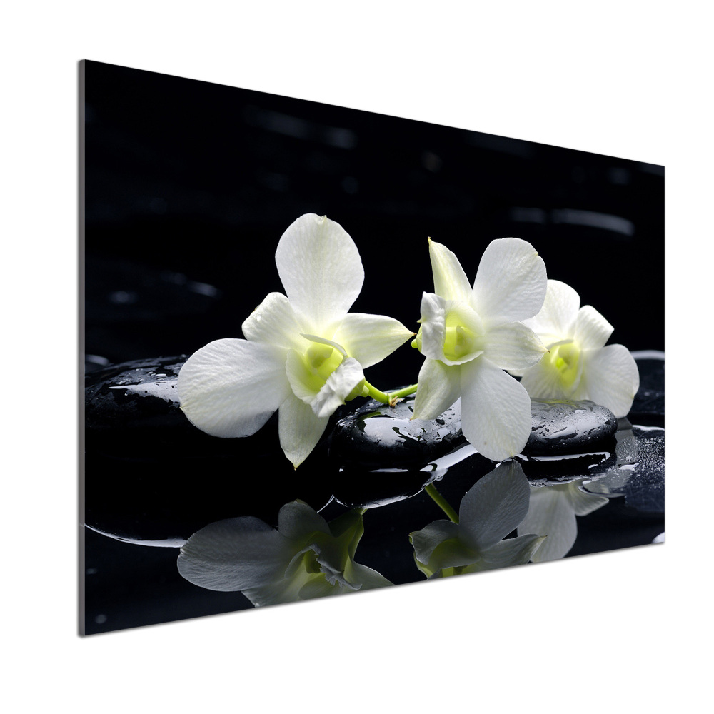 Panel między meble w kuchni Orchidea