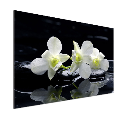 Panel między meble w kuchni Orchidea