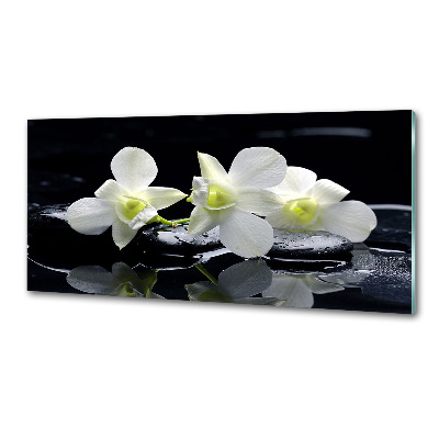Panel między meble w kuchni Orchidea
