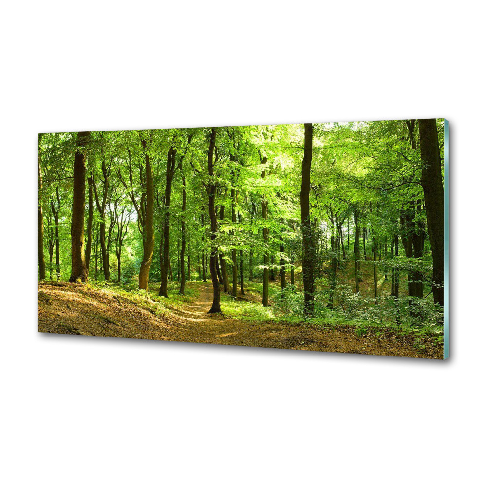 Panel do kuchni Leśna ścieżka