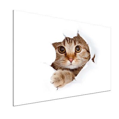 Panel szkło hartowane do kuchni Kot