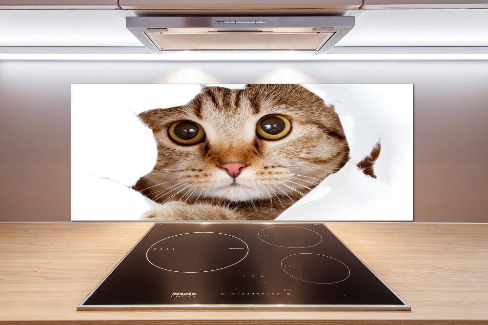 Panel szkło hartowane do kuchni Kot