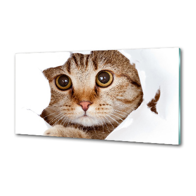 Panel szkło hartowane do kuchni Kot