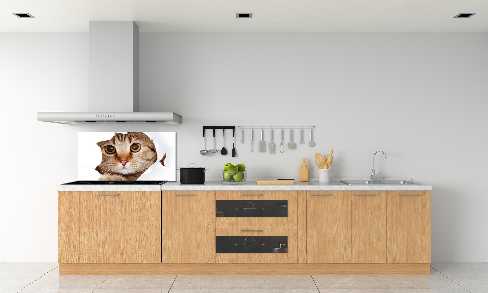 Panel szkło hartowane do kuchni Kot