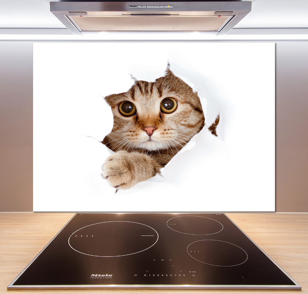 Panel szkło hartowane do kuchni Kot