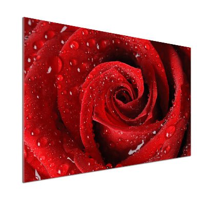 Panel do kuchni Krople na róży