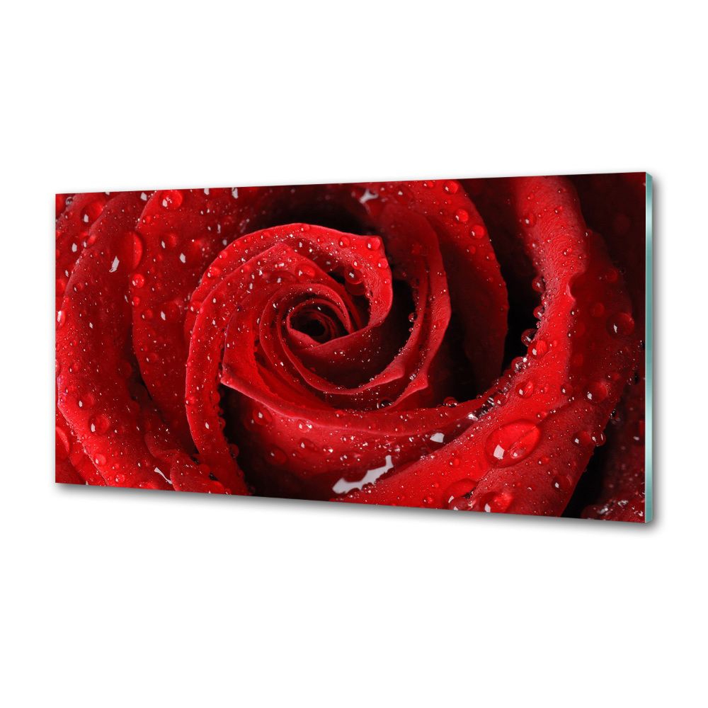 Panel do kuchni Krople na róży