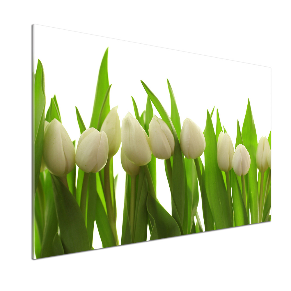 Panel do kuchni Białe tulipany
